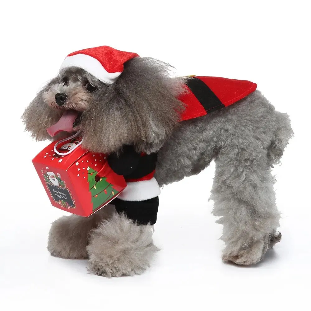 Funny Pet Clothes