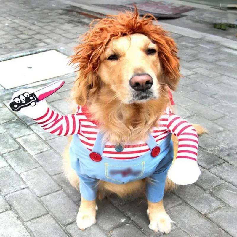 Funny Pet Clothes
