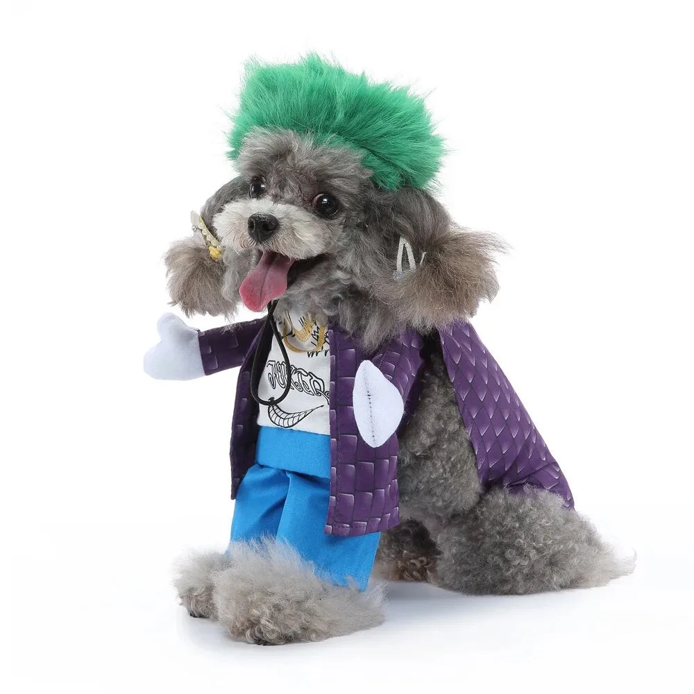 Funny Pet Clothes