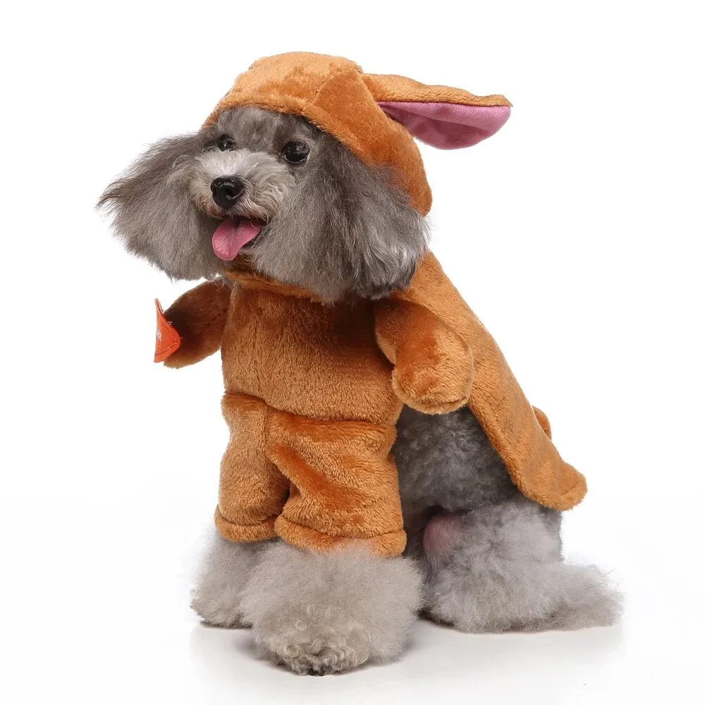 Funny Pet Clothes