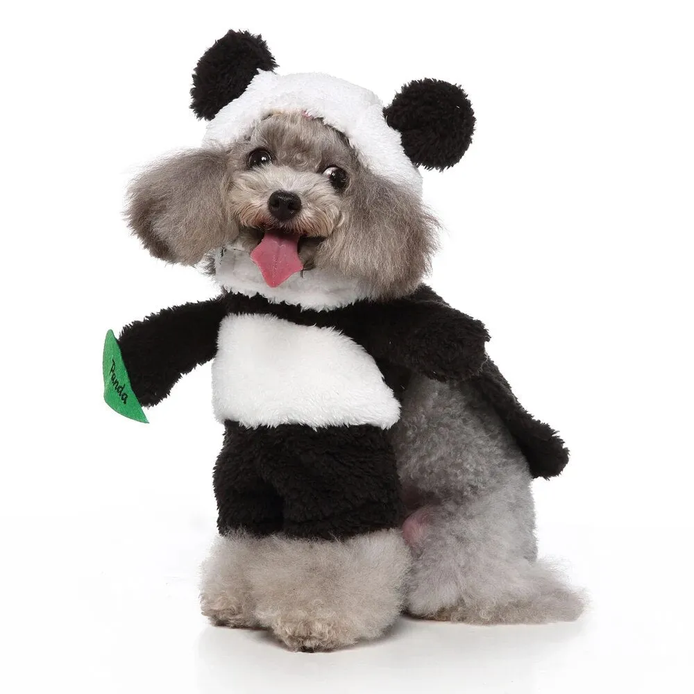 Funny Pet Clothes
