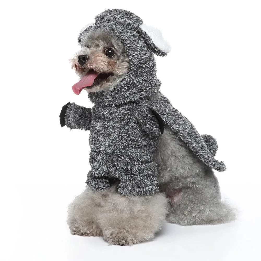 Funny Pet Clothes